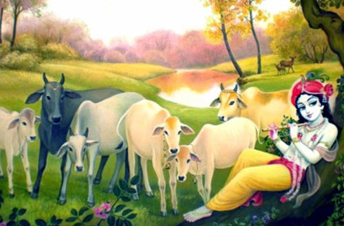 God Wallpaper | Krishna Kanhaiyya