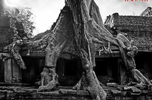 Temple Wallpaper | Angkor Wat, World Biggest Religious Place